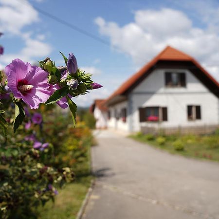 House Of Culture And Nature - Hisa Kulture In Nature Zagradec Εξωτερικό φωτογραφία