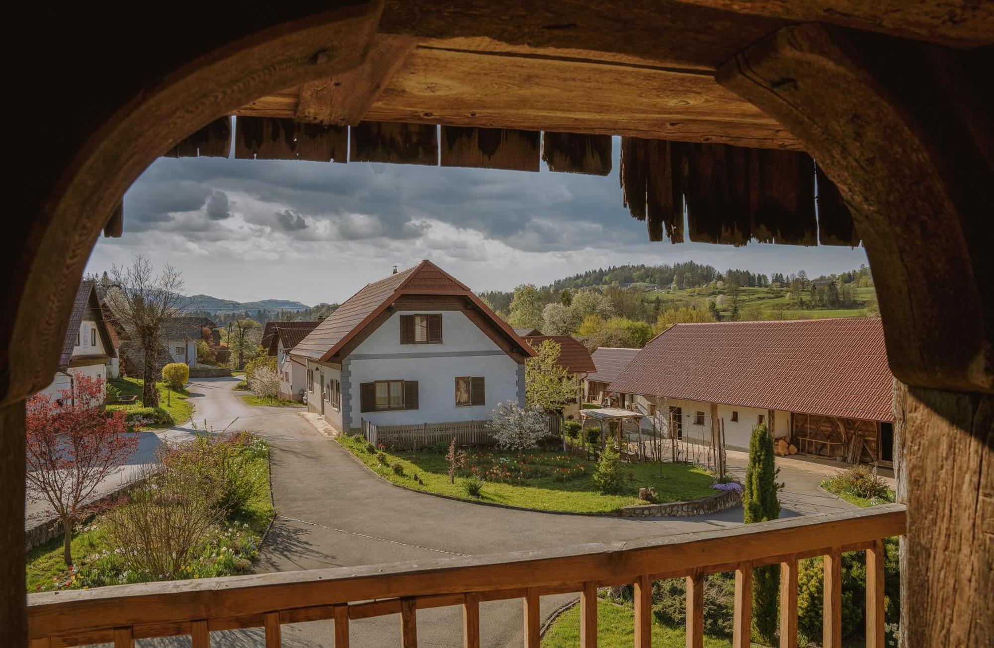 House Of Culture And Nature - Hisa Kulture In Nature Zagradec Εξωτερικό φωτογραφία